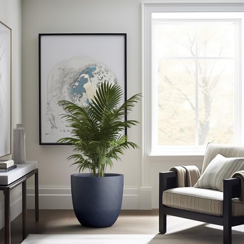 Kante Large Round Bowl Charcoal Concrete Planter 18" Dia, Outdoor - Image 4