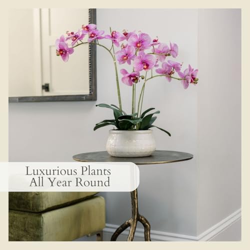 CG Hunter, Faux Orange Orchid Plant, 23 in, White, Home Decor - Image 5