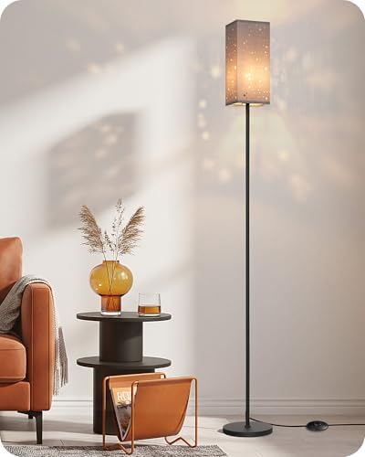 64.6" Floor Lamp, with Foot Switch, Standing Lamp with Sky Stars Design, Modern Freestanding Lamp (Bulb Not Included), for Living Room, Bedroom, Office, ETL Listed,Gray Starry Sky AH07LD05 by GOEBLESON