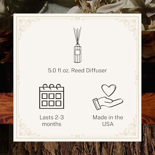 Hotel Lobby Paris Nuit Reed Diffuser – Long Lasting – Black Musk, Sandalwood, Cognac & Tobacco – Refillable Glass Vessel – 9 Diffuser Reeds – Made in USA – 5.0 fl oz (150ml), 10 ¾” H - Image 4
