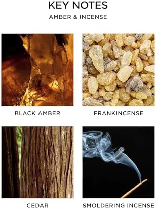 NEST New York Scented 3-Wick Candle, Amber & Incense - 21.2 oz - Up to 100-Hour Burn Time - Reusable Glass Vessel - Image 3