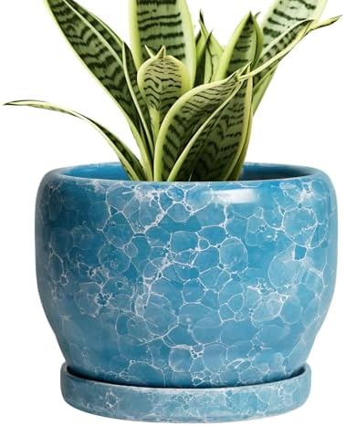 SQOWL 6 Inch Plant Pot - Ceramic Indoor Planter with Drainage Hole and Saucer, Decorative Ceramic Flower Pot Outdoor, Round Succulent Planter, Home Office Room Decor, Gifts for Plant Lovers, Blue by SQOWL