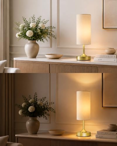 EZVALO Dimmable Cordless Table Lamp, Small Ambient Light with Timer - Image 2