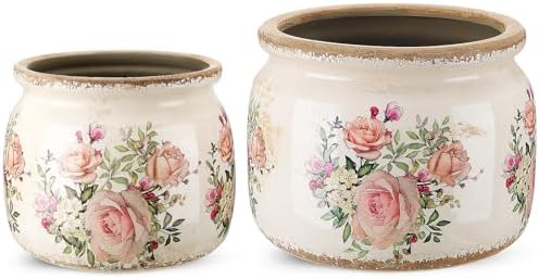 2 Pcs Vintage Planter Ceramic Plants Pot with Drainage Ice Crack Scroll Flower Vase Pot for Indoor Outdoor Plants Home Kitchen Decor Gifts(Country Rose,7.7" & 5.9") by Unknown