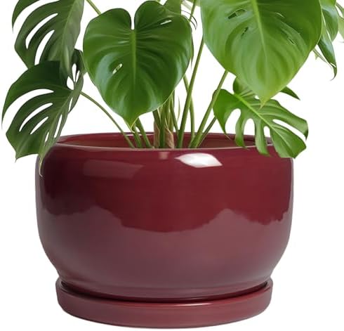 SQOWL Ceramic Pot for Plants - 10 Inch Indoor Planter with Drainage Hole and Saucer, Round Modern Planter Outdoor, Decorative Large Plant Pot for Flower, Living Room Decor, Garden Gifts, Red by SQOWL