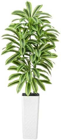 Artificial Yellow Dracaena Tree Indoor, 7FT Tall Fake Floor Plants with White Planter & Pebbles, Faux Silk Yucca Tree for Home Office Living Room Bedroom Farmhouse Modern Outdoor Topiary Tree by TXABL