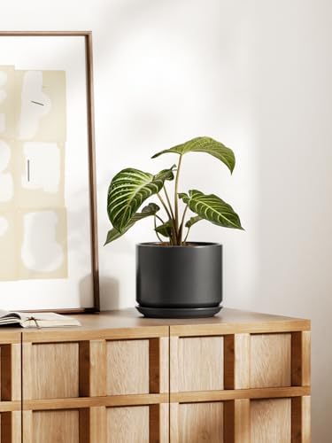 LE TAUCI 8 Inch Plant Pot, Ceramic Pots for Plants, Black - Image 2