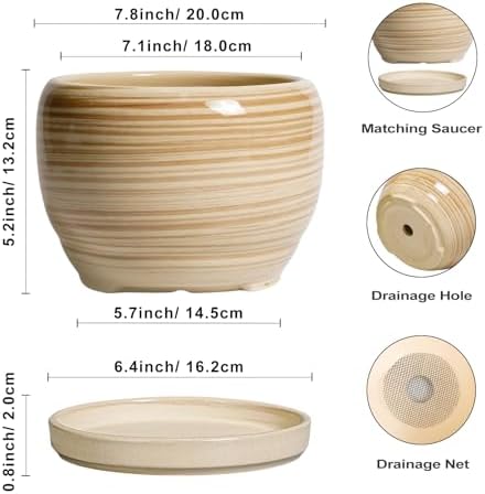 SQOWL Ceramic Planter- 8 Inch Plant Pot Indoor Outdoor, Round Planter with Drainage Hole and Plant Saucer, Decorative Modern Ceramic Flower Pot, Living Room Decor, Garden Gifts, Yellow - Image 3