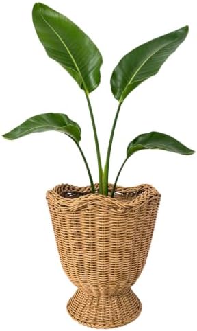 Rattan Planter, Woven Planter Basket for Plants Indoor Outdoor, Rattan Flower Pot, Decorative Plant Holder Basket for Garden Patio Boho Home Decor (Orange&Scalloped-Small:11.81" H x 9.84" W) by Unknown
