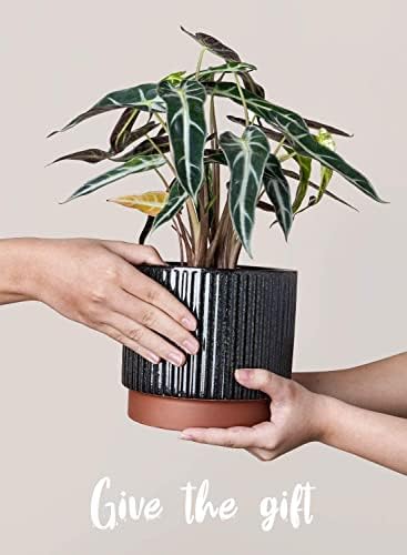 LE TAUCI Ceramic Plant Pots with Drainage Holes, Set of 3, 8+6.7+5.5 Inch Stripe Garden Planter Pots for Outdoor Indoor Plants Flower, Round Succulent Orchid Flower Pot, Reactive Glaze Black - Image 6