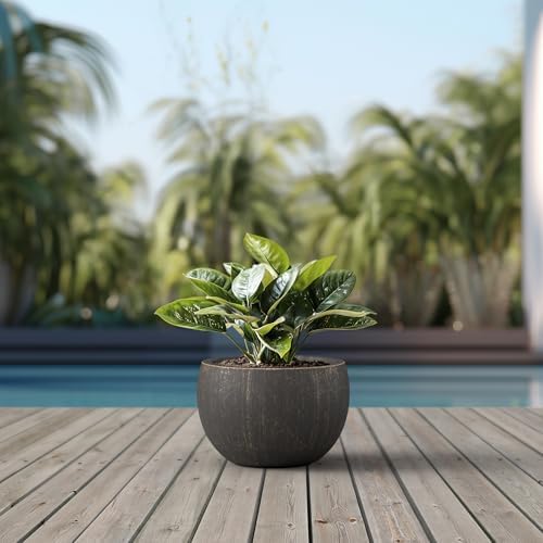 Kante Large Round Bowl Vintage BRN Concrete Planter 19.9" Dia, Outdoor - Image 3