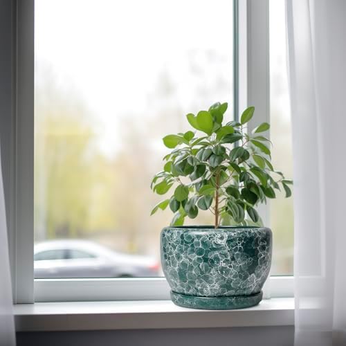 SQOWL 8 Inch Plant Pot - Ceramic Planter for Indoor Plants, Decorative Flower Pot with Drainage Hole and Saucer, Round Planter Outdoor, Room Patio Decor, Garden Gifts for Women, Green - Image 4