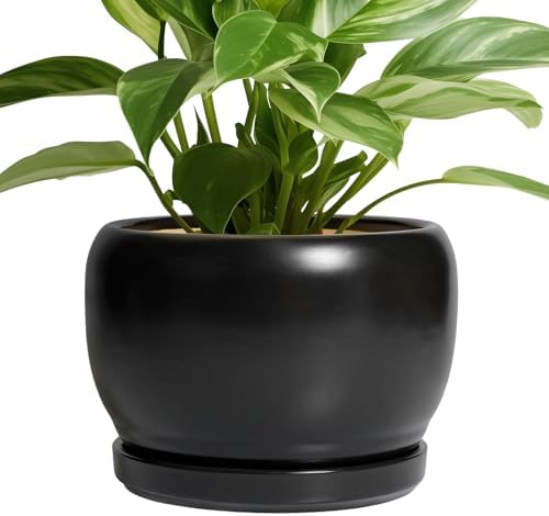 SQOWL Ceramic Plant Pots - 8 Inch Planter Indoor, Round Flower Pot with Drainage Hole and Saucer, Modern Outdoor Planter, Apartment Decor, Gifts for Plant Lovers, Black by SQOWL