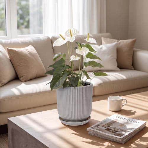Deep Dream 6 Inch Ceramic Pots for Plants, Heavy Plant Pot for Indoor Outdoor Plants, Large Plant Pot with Drainage Hole and Saucer, Modern Tall Flower Pot, Gifts for Plant Lovers, Grey - Image 4