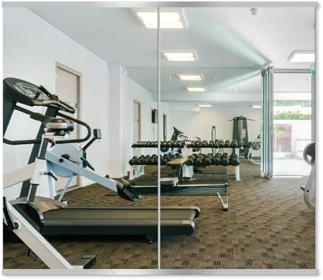 Delma Home Gym Mirror, 48''x28''x2PCS Silver Wall Mounted by Delma