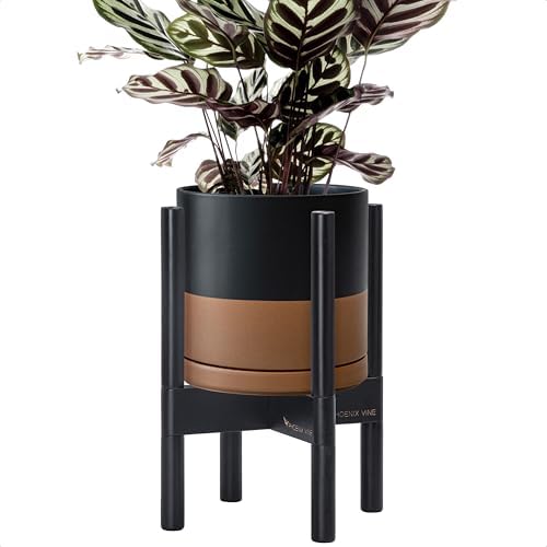 D'vine Dev Ceramic Pot with Ebony Wood Stand, Black/Tan, 8 in, 55-B-M-7 by DvineDevPlanterPotsandStand