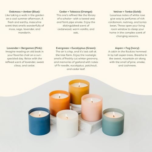 Calyan Wax Co. Dignity Series Scented Candle Gift Set - 6 Soy Wax Candles - Image 4