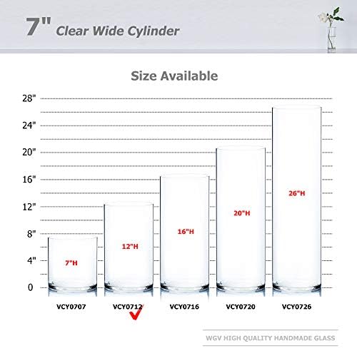 WGV Cylinder Vase, Width 7", Height 12", Clear Wide Large Diameter Flower Glassware, Floral Container, Planter Terrarium for Wedding Party Event, Home Accent Decor, 1 Piece - Image 3