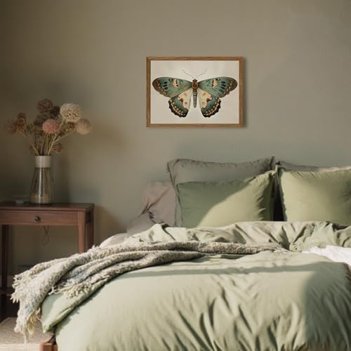 AVECCO Vintage Green Butterfly Decor Framed Wall Art Canvas 12x16 inch - Image 5