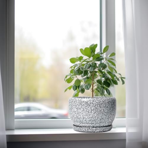 SQOWL 8 inch Plant Pot - Ceramic Planter with Drainage Hole and Saucer, Round Flower Pot for Indoor Plants, Decorative Planter Outdoor, Patio Balcony Decor, House Warming Gifts, Black and White - Image 4