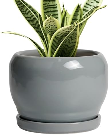 SQOWL 6 Inch Plant Pots - Ceramic Planter with Drainage Hole and Saucer, Round Ceramic Flower Pot Indoor Outdoor, Modern Succulent Planter, Bathroom Decor, Gifts for Plant Lovers, Grey by SQOWL
