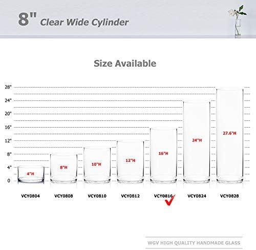 WGV Cylinder Vase, Width 8", Height 16", Clear Wide Large Diameter Flower Glassware, Floral Container, Planter Terrarium for Wedding Party Event, Home Accent Decor, 1 Piece - Image 3