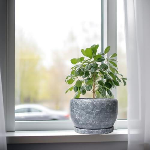 SQOWL 8 inch Plant pots Indoor - Ceramic Planter with Drainage Hole and Plant Saucer, Decorative Ceramic Flower Pot Outdoor, Modern Round Planter, Patio Porch Garden Decor, Garden Gifts, Gray - Image 4