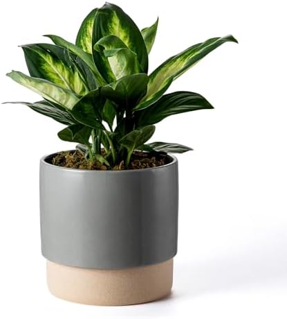 8 Inch Ceramic Self Watering Planter with Drainage Hole, Dark Grey by Chubacoo