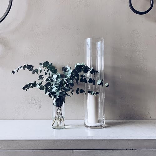 WGVI Quality Thick Clear Cylinder Glass Vases, 3" W x 8" H, Bud Vase Skinny Narrow Floral Bouquet Flower Container for Wedding Centerpieces Tabletop Home Accent Décor Brush Pen Holder, 1 Piece - Image 5