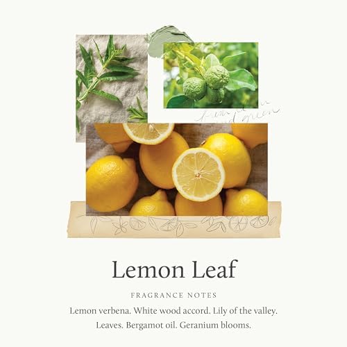 Thymes Petite Reed Diffuser - 4 Fl Oz - Lemon Leaf - Image 3