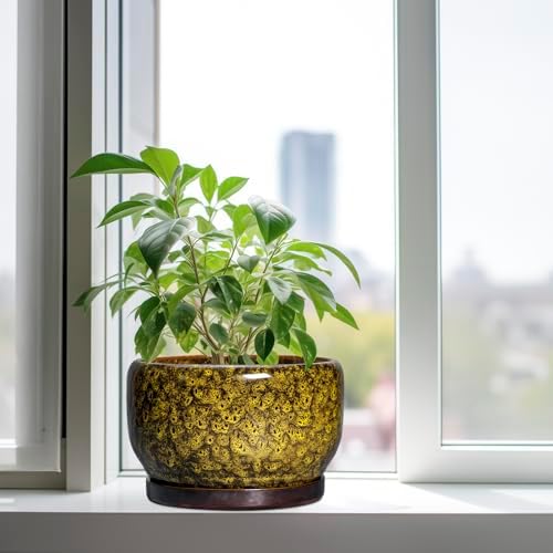 SQOWL 10 Inch Plant Pot - Ceramic Flower Pots with Drainage Hole and Saucer, Ceramic Planter for Indoor Plants Outdoor, Decorative Round Large Planter, House Decor, Gifts for Women Men, Yellow - Image 4