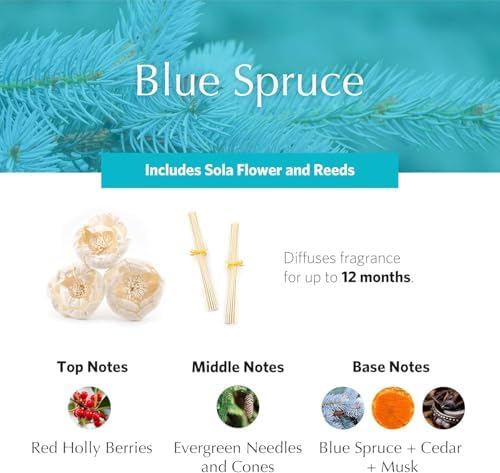 Blue Spruce Holiday AirEssence Diffuser, 7.4oz - Image 3