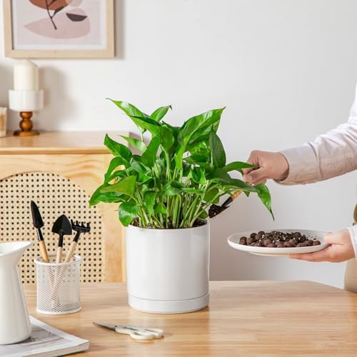 vancasso Ceramic Plant Pots, 6.25 Inch Ceramic Pot for Plants, Planters Pots for Indoor Plants with Drainage Holes, Flower Pot for Indoor House Plant, White - Image 5