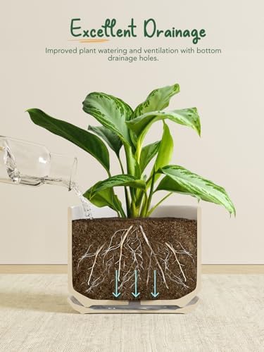 LE TAUCI 10 inch Plant Pot, Ceramic Pots for Plants, Forest Green - Image 3