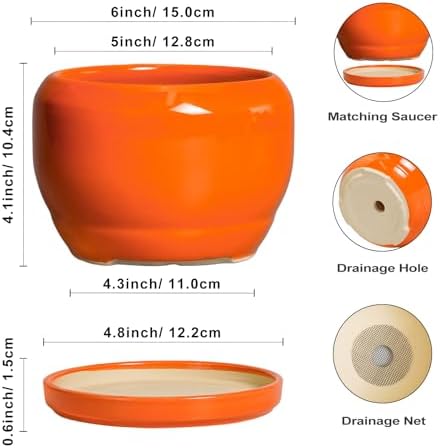 SQOWL Ceramic Plants Pots - 6 Inch Planter Indoor with Drainage Hole and Plant Saucer, Modern Round Planter Outdoor, Decorative Succulent Pot, Home Decor, Housewarming Gifts, Orange - Image 3