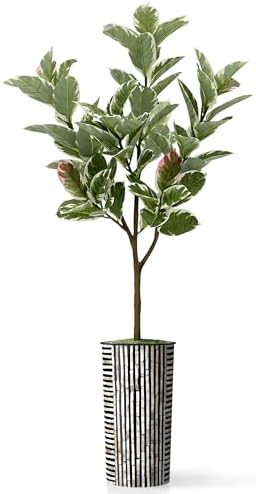 Artificial Tree in Black and Brown Striped Planter, Fake Rubber Silk Tree for Indoor and Outdoor Home Decoration - 70" Overall Tall (Plant Pot Plus Tree) - Image 2
