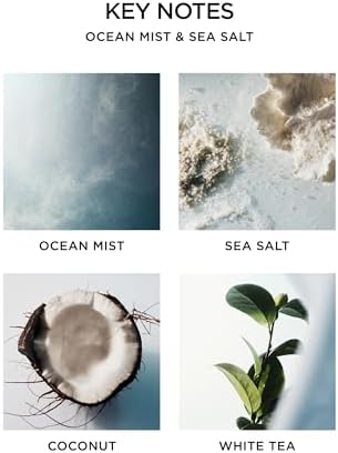 NEST New York Reed Diffuser, Ocean Mist & Sea Salt - 5.9 fl oz - Fragrance for Up to 90 Days - Reusable, Refillable Glass Holder - Includes 8 All-Natural Reed Sticks - Flame Free - Image 4