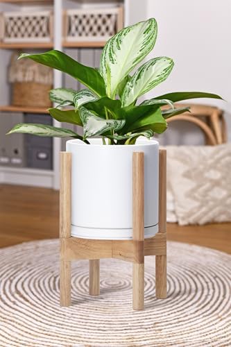 D'vine Dev Ceramic Pot with Natural Wood Stand, White, 8 in, 55-B-N-1 - Image 6
