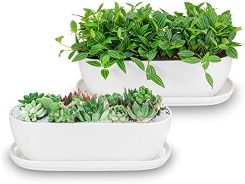 E-liu 11+14 inch Ceramic Plant Pots with Drainage Holes Saucers, Set of 2 by Creatingwarmandrefinedlifestylekitchenandhomeessentials