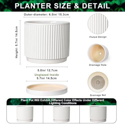 Ceramic Plant Pots 6 Inch, Round Pots for Plants with Tray, White - Image 2