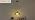 Shenmoyl Pendant Light with Green Scindapsus Glass Lmapshade, Brass Vintage Pendant Light Adjustable Hanging Light for Kitchen Island Dining Room Hallway - Image 7