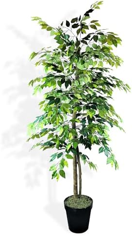 LCG Florals 6ft Artificial Ficus Tree in Black Plastic Pot - Real Wood Trunk, No Maintenance Indoor Faux Plant - Living Room, Home & Office Decor by LCGFlorals