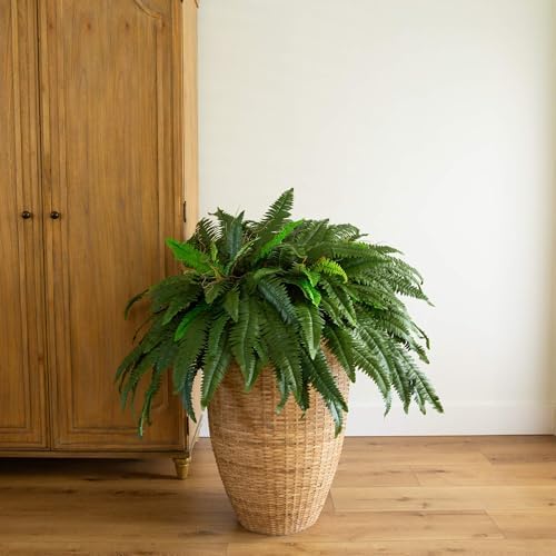 Nearly Natural 48 in Artificial Boston Fern Hanging Plant (Set of 2) - Image 4
