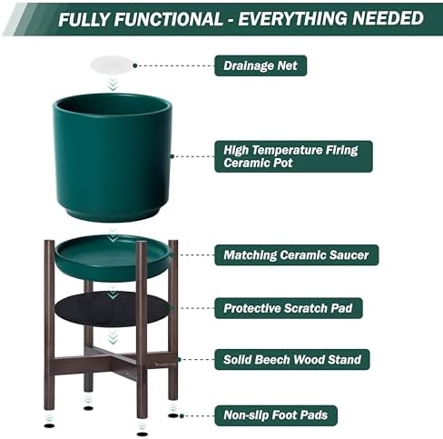 D'vine Dev Ceramic Pot with Walnut Wood Stand, Teal, 8 in, 55-B-Y-4 - Image 5