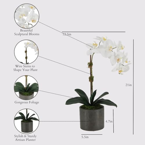 CG Hunter, Faux Phalaenopsis White Orchid Plant, 21 in, White, Home Decor - Image 2