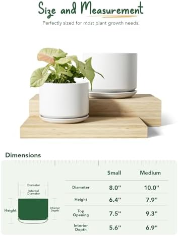 LE TAUCI Ceramic Plant Pots, Set of 2, 8+10 Inch, White - Image 4