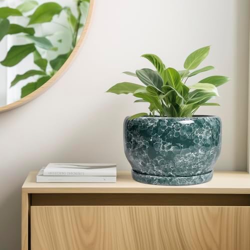 SQOWL 10 Inch Plant Pot - Ceramic Planter for Indoor Plants Outdoor, Large Ceramic Flower Pot with Drainage Hole and Saucer, Decorative Round Planter, Living Room Decor, Gifts for Women Men, Green - Image 7