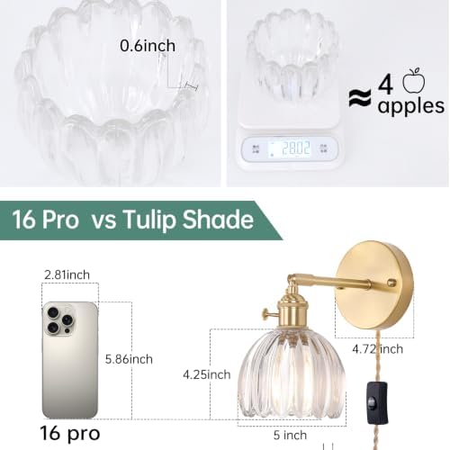 Shenmoyl Plug in Wall Sconce, Transparent Tulip Glass Lampshade Wall Light Plugin Corded for Bedside Bedroom Doorway - Image 3