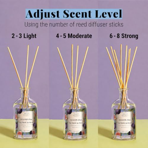 Panier des Sens Mediterranean Fig Reed Diffuser, 8.1 fl oz - Image 4
