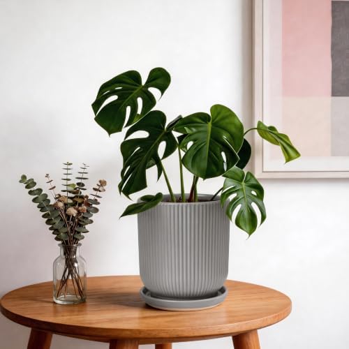 Deep Dream 8 Inch Ceramic Pots for Plants, Heavy Plant Pot for Indoor Outdoor Plants, Large Plant Pot with Drainage Hole and Saucer, Modern Tall Flower Pot, Gifts for Plant Lovers, Grey - Image 4